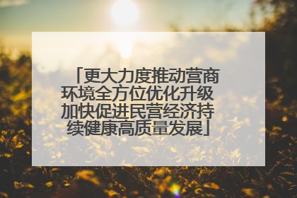 更大力度推动营商环境全方位优化升级加快促进民营经济持续健康高质量发展